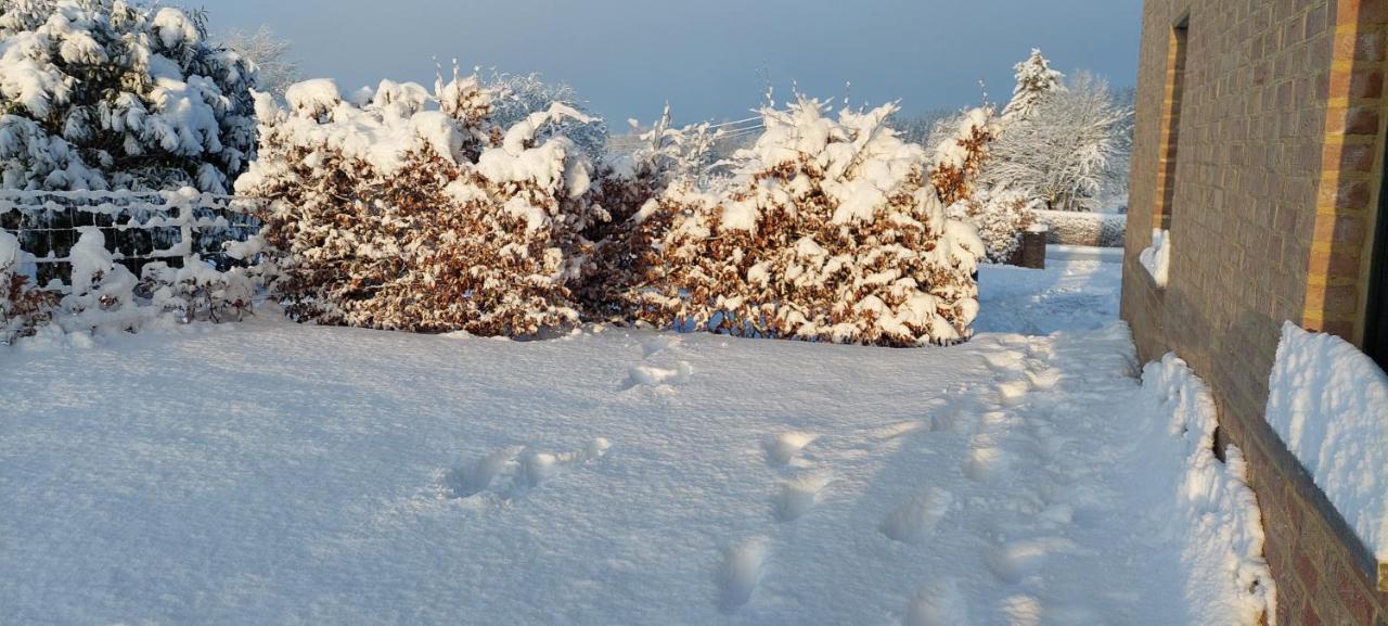 La Chambre D'En Haut La Reid Zewnętrze zdjęcie